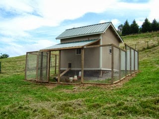 Cool Coops: Solar Powered and Full of Gadgets! | Community Chickens