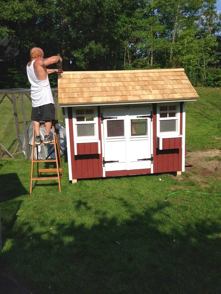 Cool Coops! ~ The Green Chicken Coop | Community Chickens