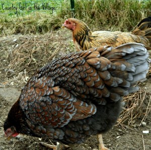 Ladies Outside