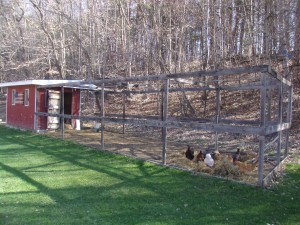 Proper Planning For Chickens | Community Chickens
