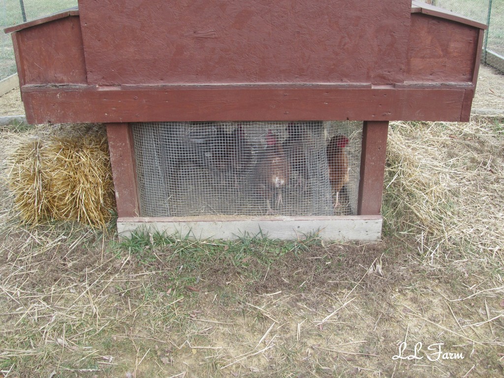 With straw to protect against weather.