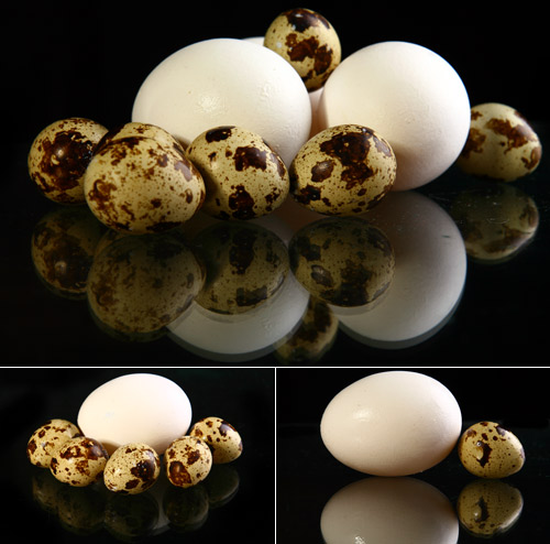 quaileggs