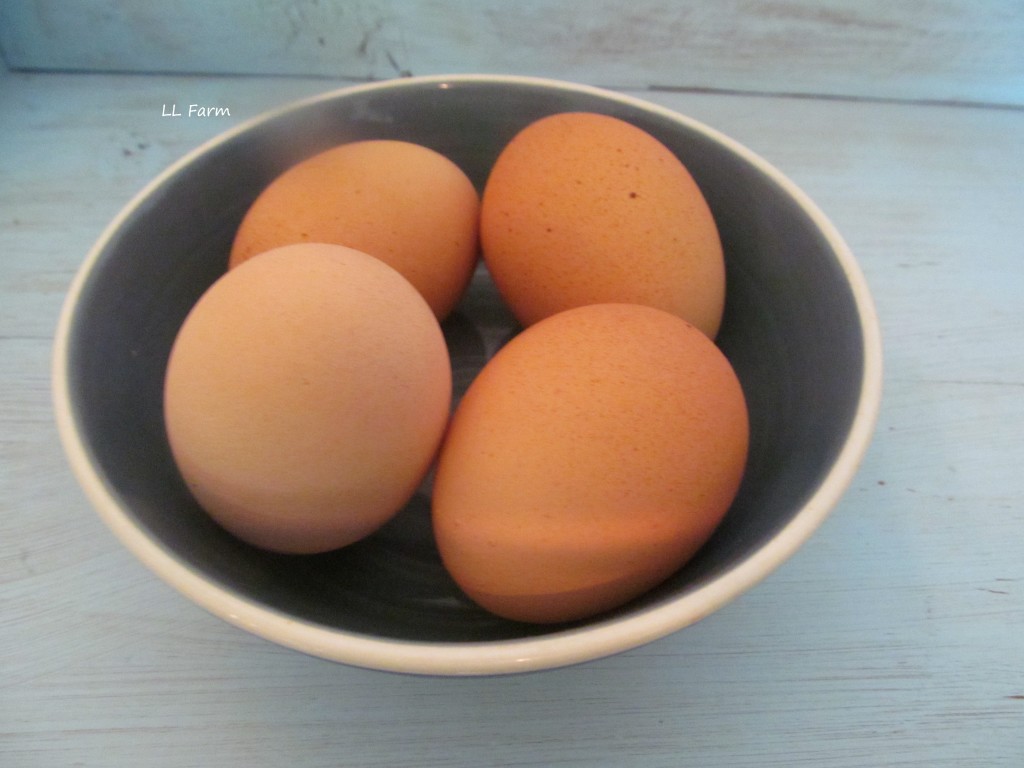 eggs in a bowl