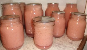 Homemade, unsweetened applesauce!