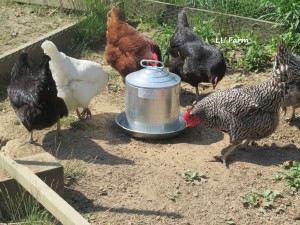 metal keeps water cooler