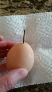 genlty poke a hole in one end of the egg
