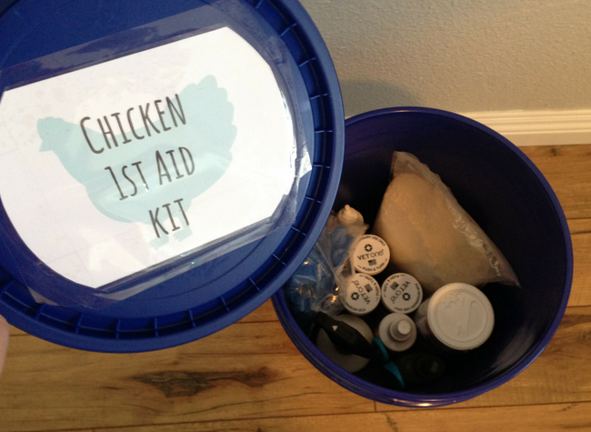 What to do (and not do!) for a sick chicken