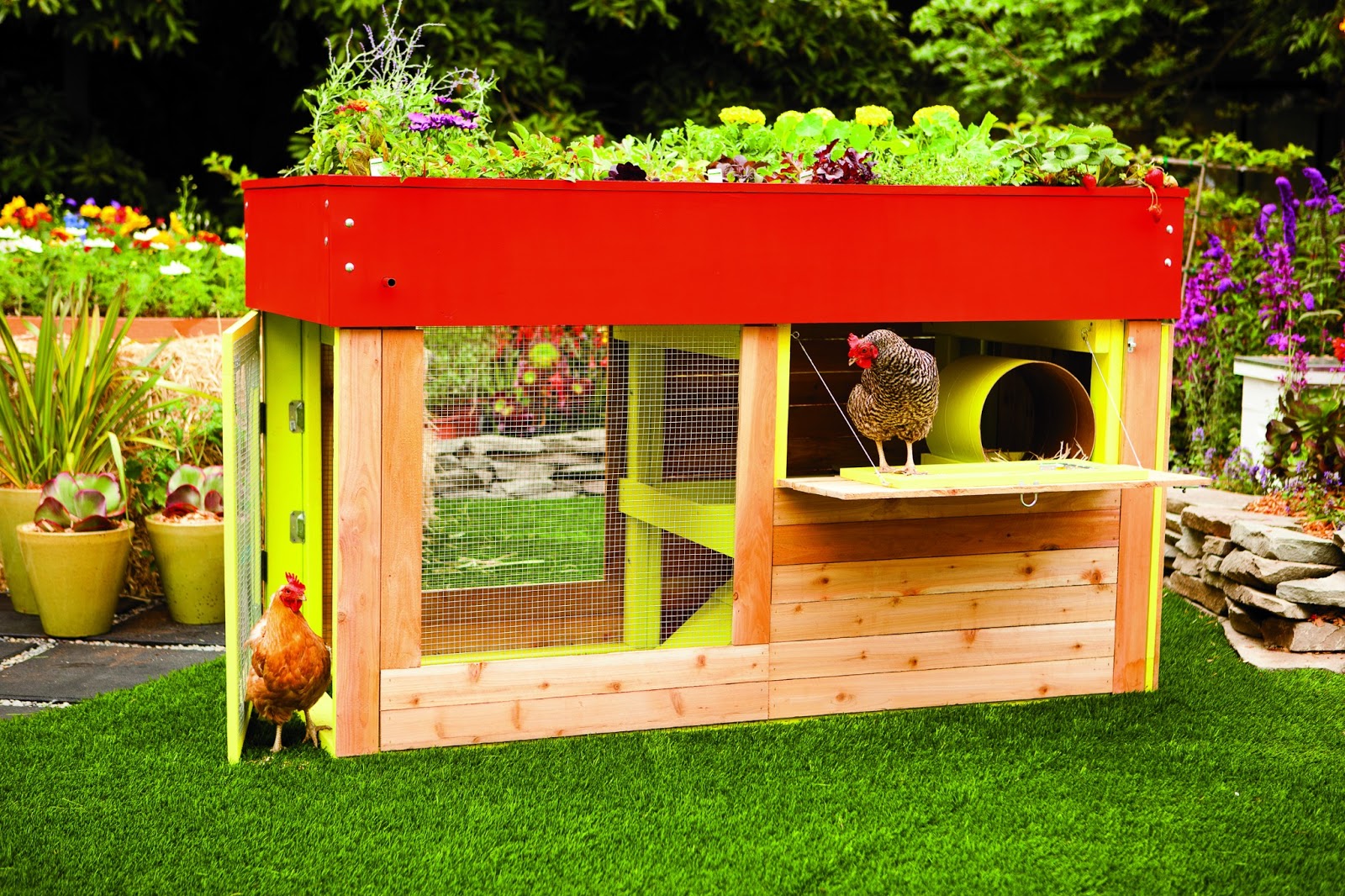 Book Review: Reinventing The Chicken Coop | Community Chickens