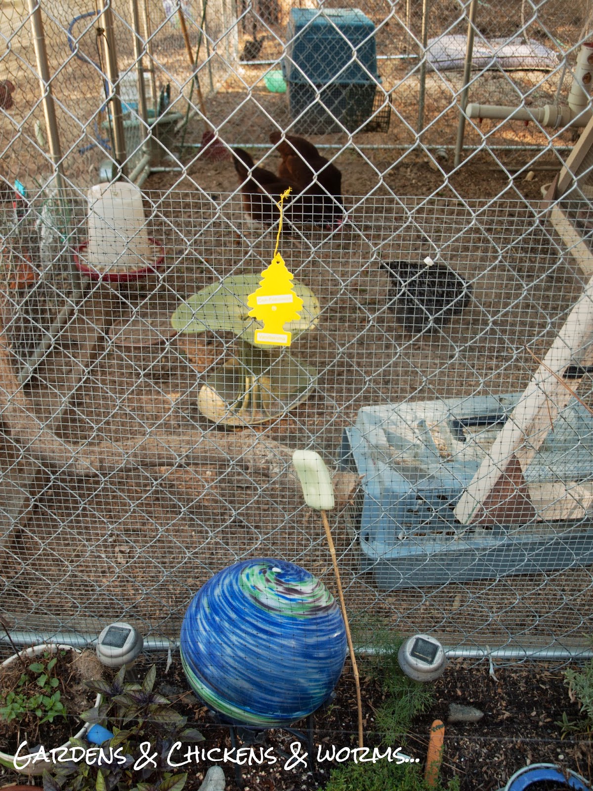 Flies Hate Vanilla Community Chickens