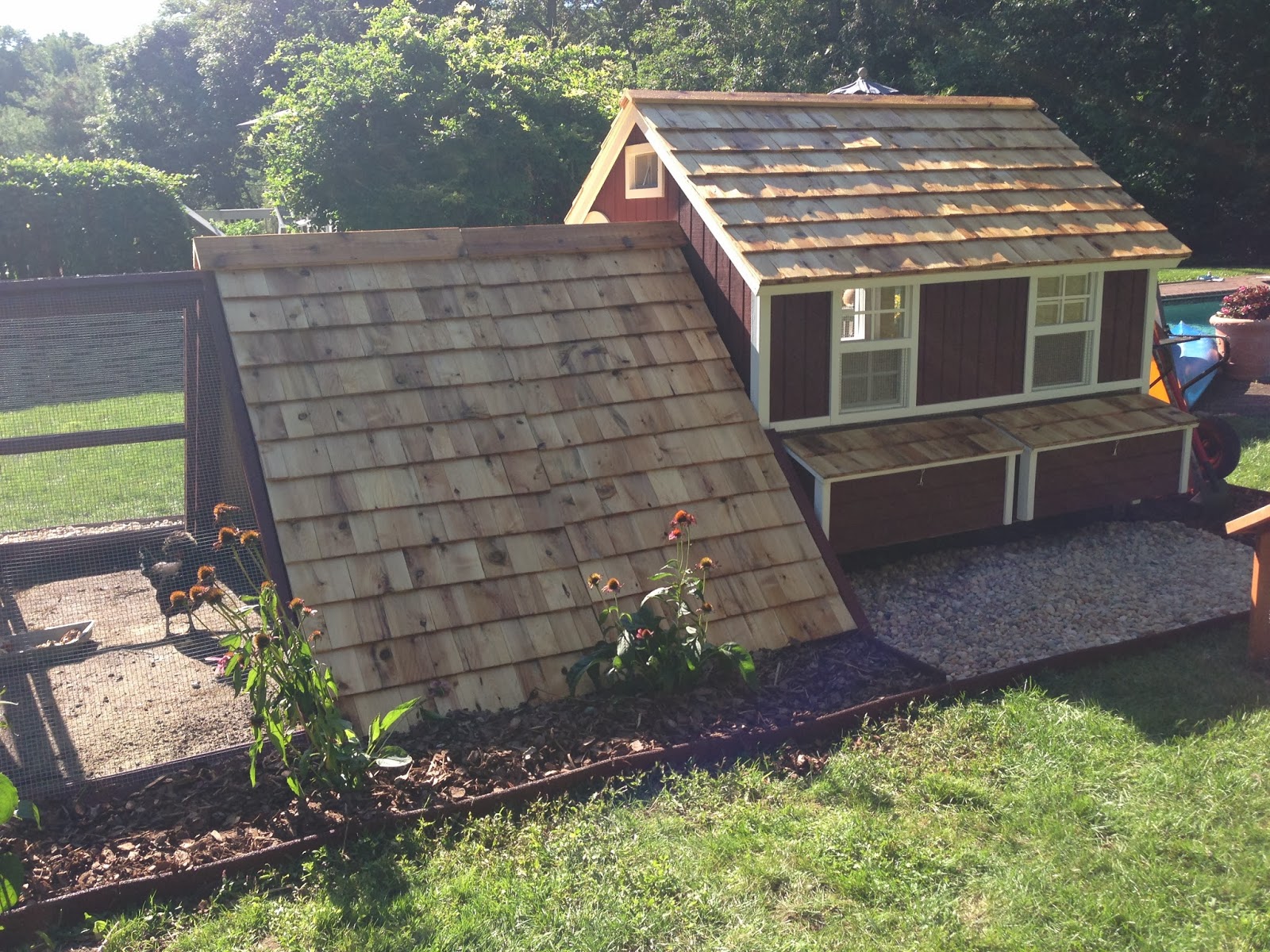 She bought a chicken coop for her cats and they absolutely ... Cool Coops! ~ The Green Chicken Coop | Community Chickens