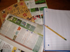 CC Proper Planning -Chilson