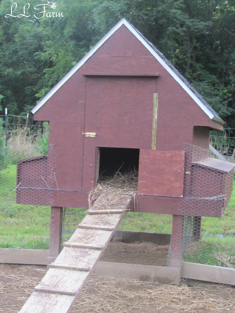 DIY chicken coop, re-purposed material