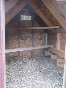 inside has 8 nesting boxes, roosts for night, vent for circulation