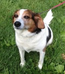 Snoop, during warmer days!