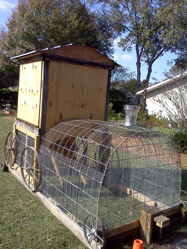 The Choo Choo Coop underconstruction - and the run.