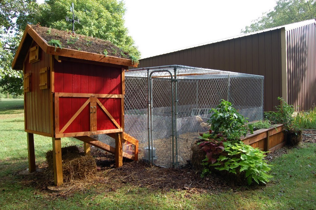 Cool Coops! ~ the garden-roof coop Community Chickens