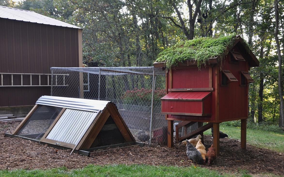 Cool Coops! ~ the garden-roof coop | Community Chickens