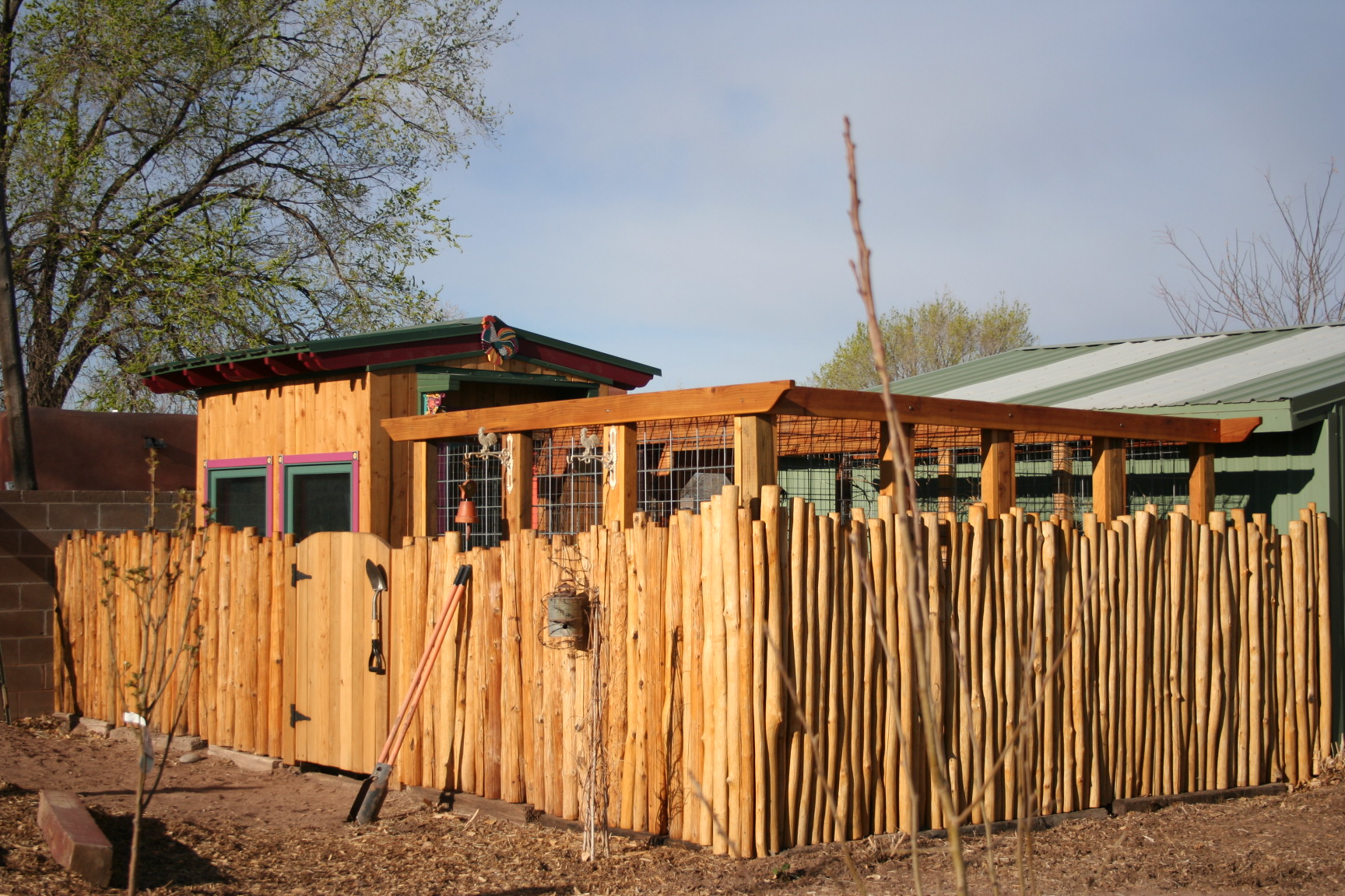 Cool Coops! A New Mexico Chicken Oasis Community Chickens