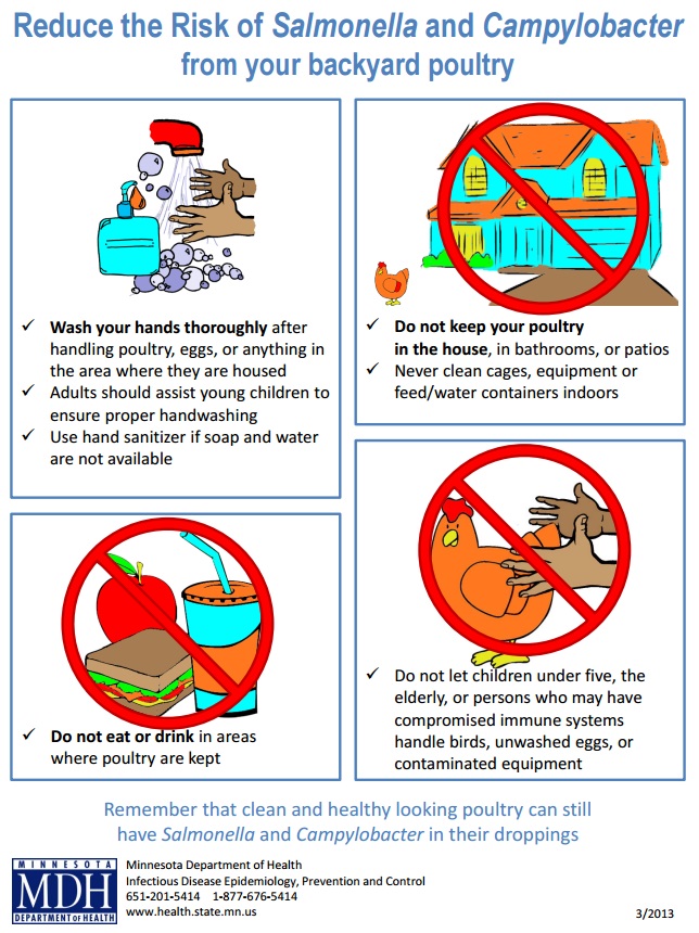 Campylobacter