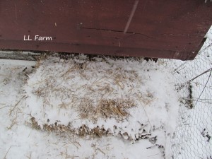 straw under nesting area