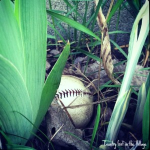 Spring is a time of renewal around the homestead.