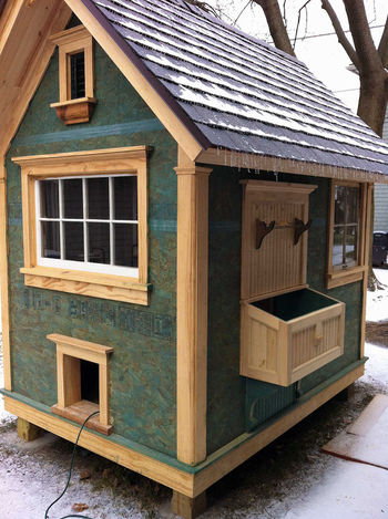 Cool Coops Tom's Bird House