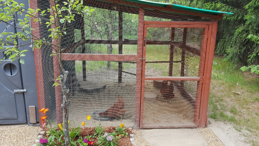 Community Chickens Porta Potty Coop 2