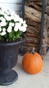 mums-pumpkins-firewood