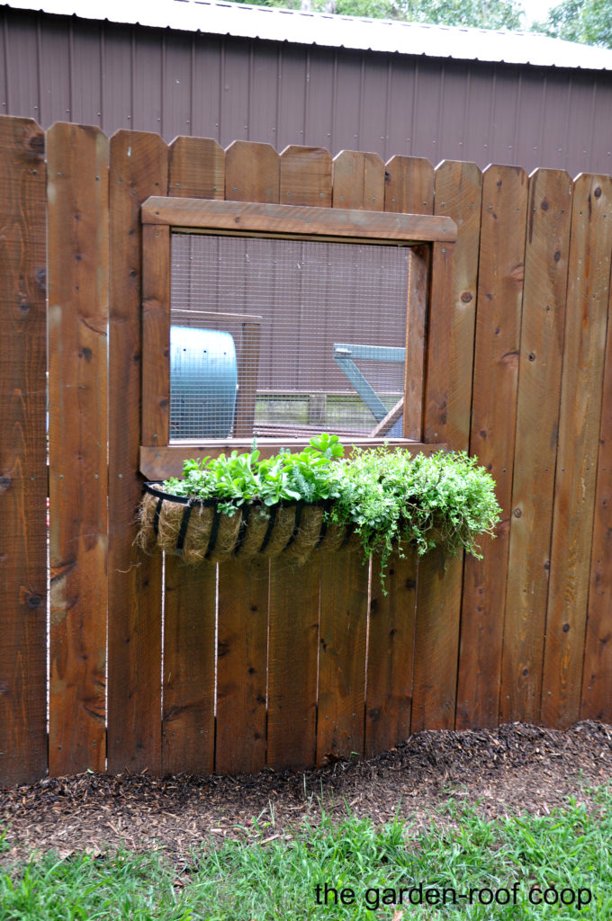 the garden roof coop