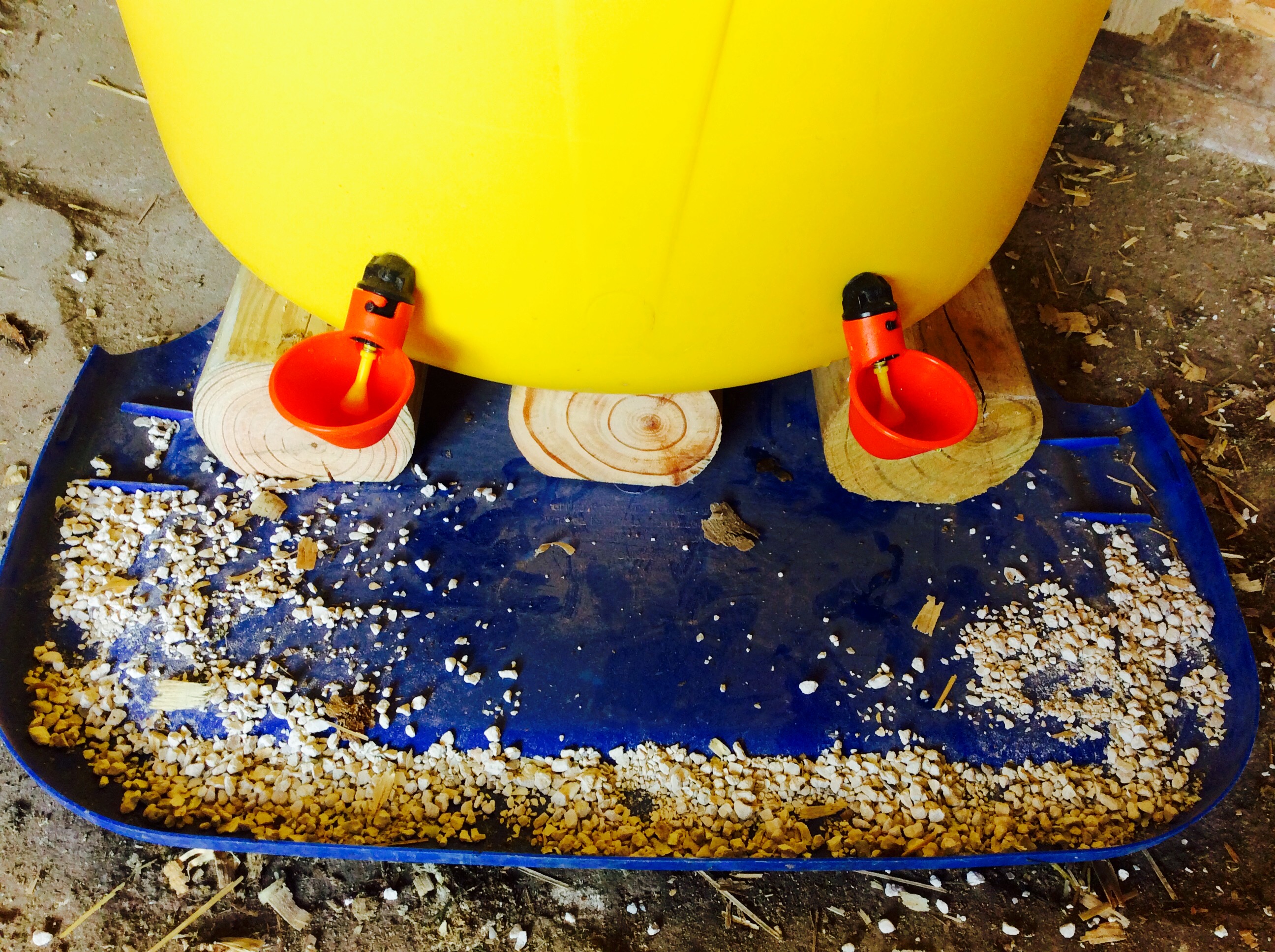 Diy Large Volume Chicken Drinker Drip Free No Ice Community