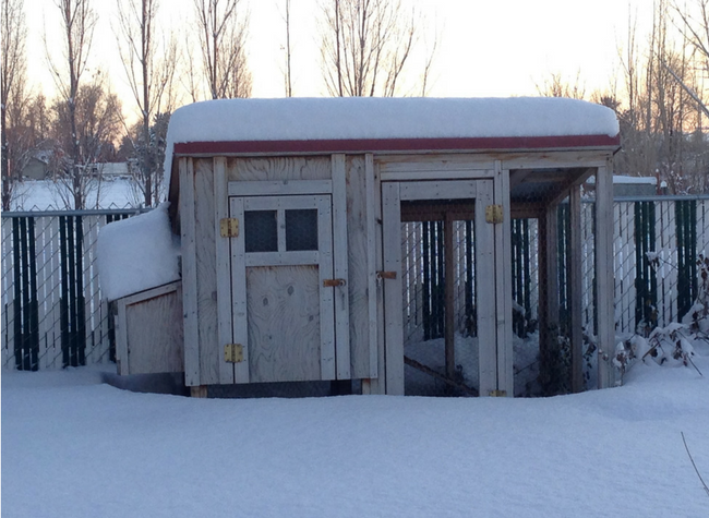 Create an all-weather dust bath that your chickens can use even when the ground is frozen or covered in snow!