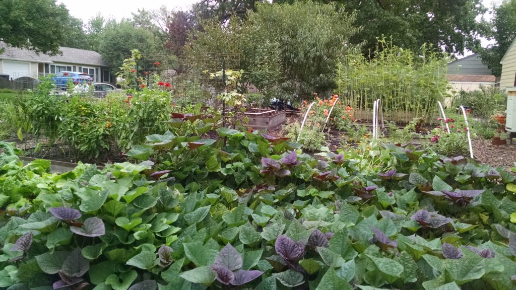 view of lush garden