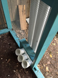 Food pipes into the coop