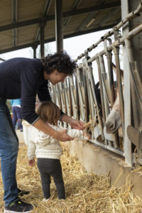 GettyImages-1064743364 silvia cozzi Dad and daughter feeding a donkey