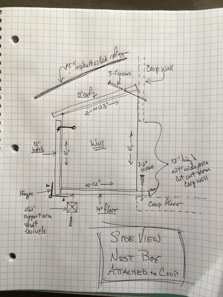 grid paper with hand-written notes about coop plans