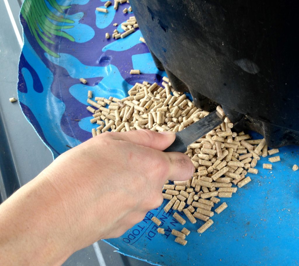 Katie cutting holes on bottom edge of black 25 gallon planter