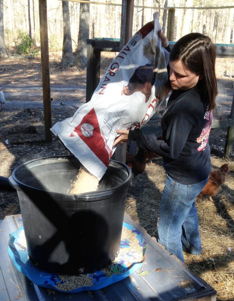 Katie Ford pouring chicken feed into black garden pot gravity feeder