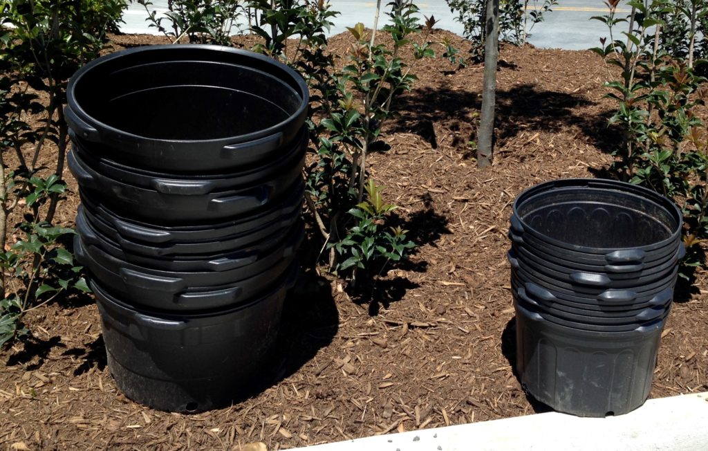 Nursery Pots as chicken feeders