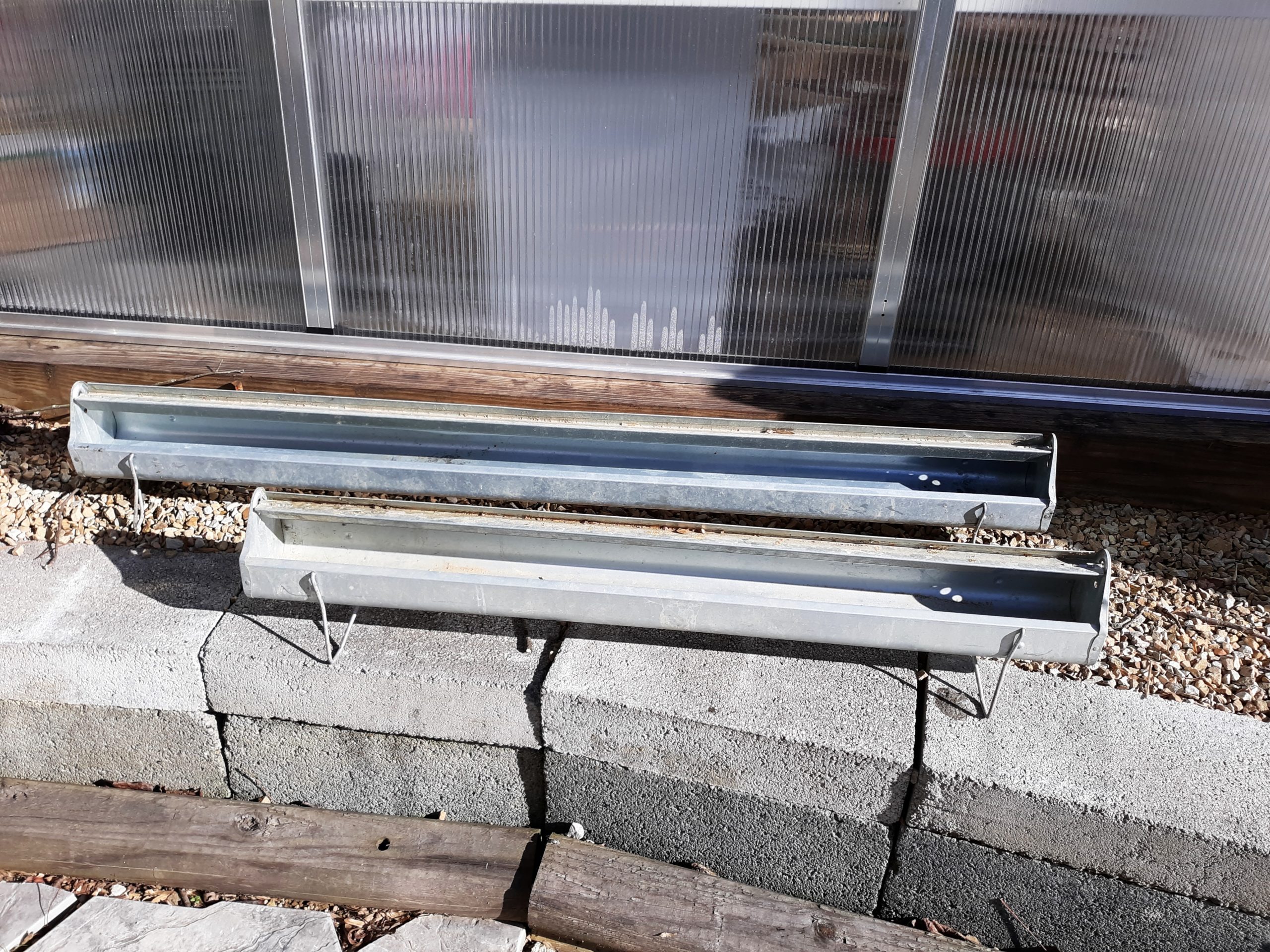 Thompson Trough Feeders Community Chickens
