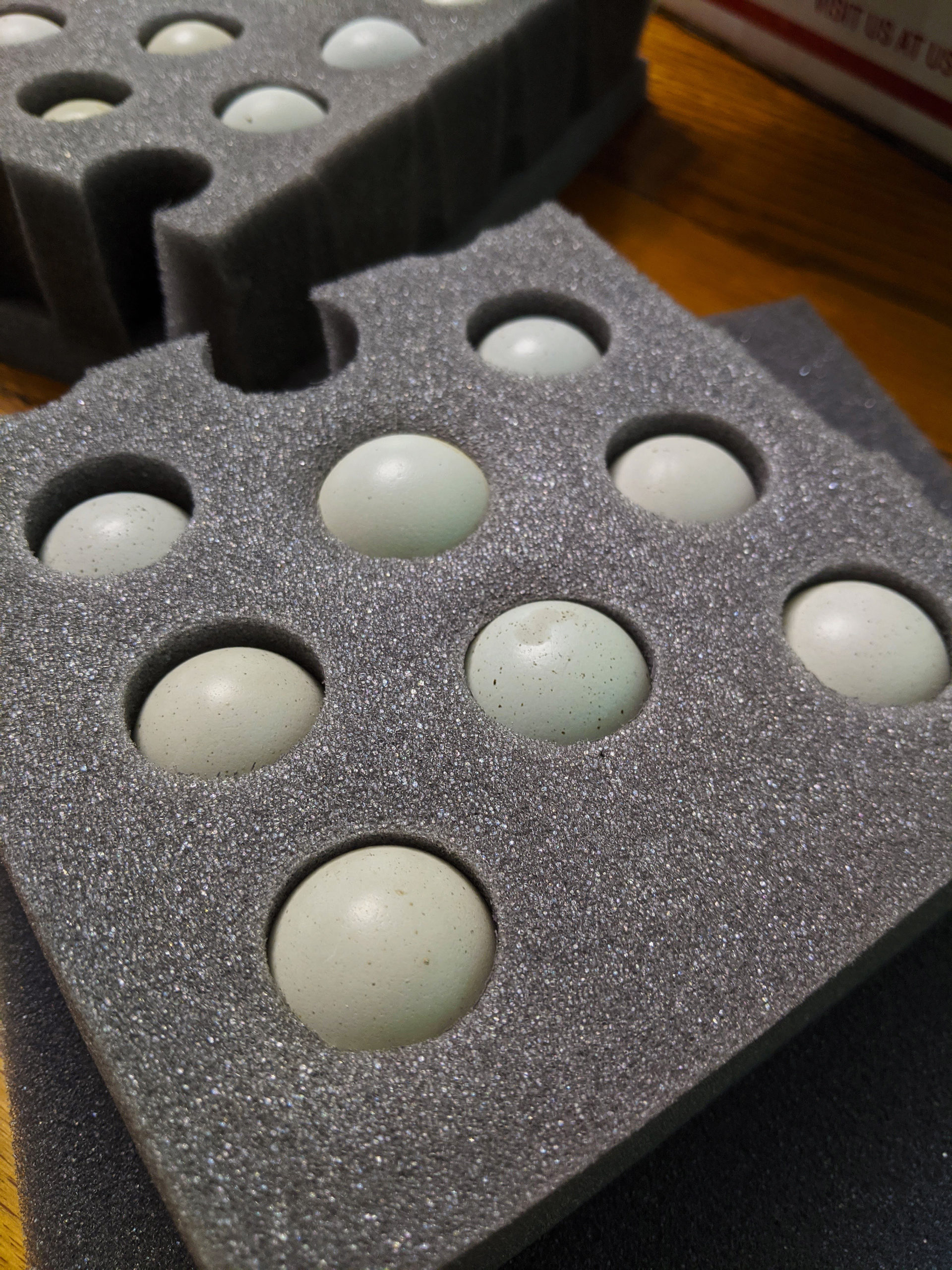 Incubating Coturnix Quail Eggs | Community Chickens