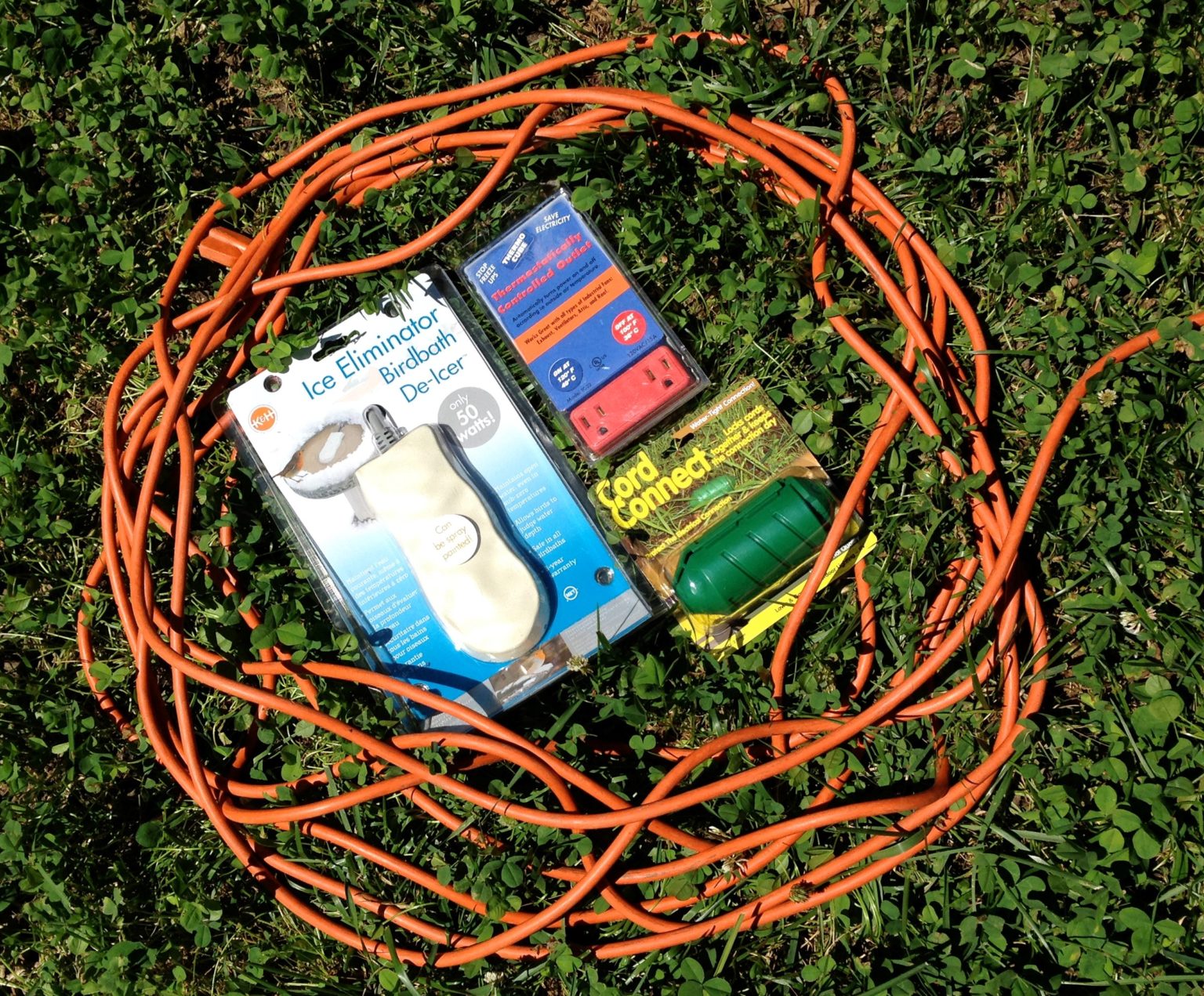 Free Water and Free Yourself Community Chickens