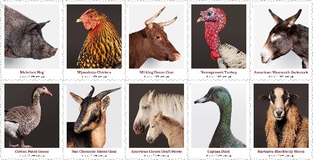 featured image, picture of all heritage breed stamps