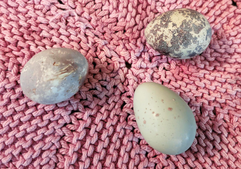 three eggs on pink knitting
