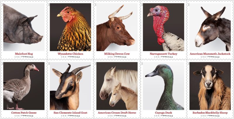 page of U.S.P.S. heritage breed stamps